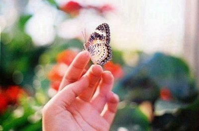 ​经典人生感悟语句摘录90条