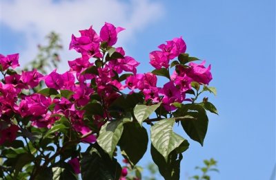 ​高级有质感的文案短句