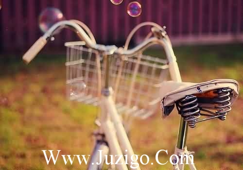 有一种努力叫靠自己经典语录(没有理由不努力的句子)