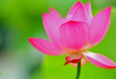 ​出行发朋友圈的精美句子(精选93句)