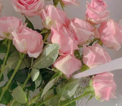 微信朋友圈经典人生感悟句子