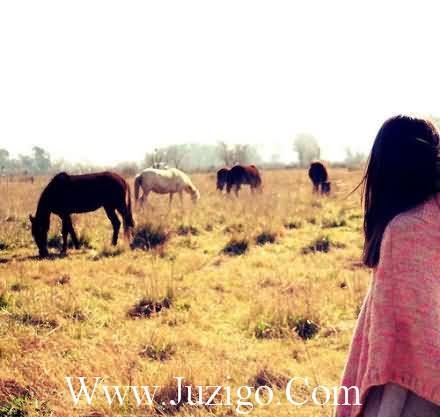 天下足球经典句子62句