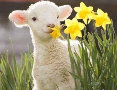 ​唯美岁月句子短句89句