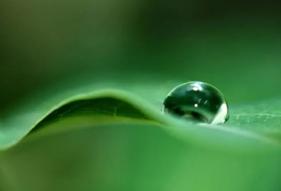 ​五一发朋友圈的优美句子(65句)