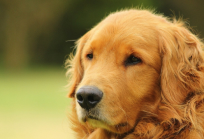 ​生活中太多无奈的句子说说(精选90句)