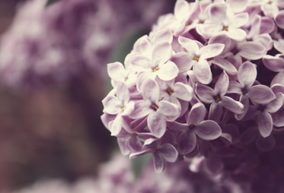 ​关于结婚一周年发朋友圈的说说