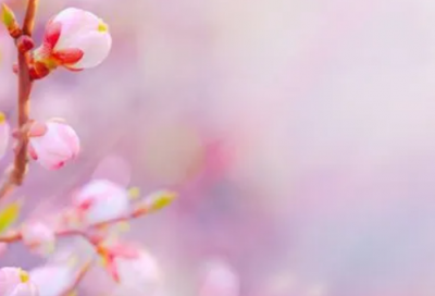 ​关于QQ随心贴对女生说的话