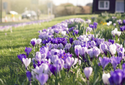 ​关于对一个城市的感慨说说