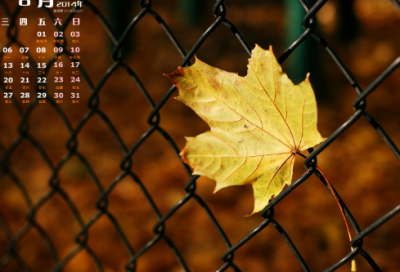 ​关于对感情没有安全感的说说