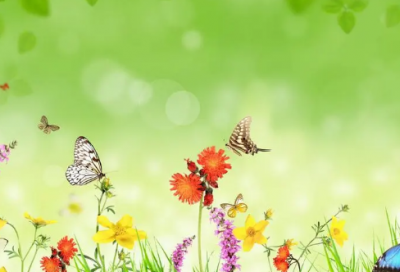 ​发朋友圈对生活失望的句子(优选87句)