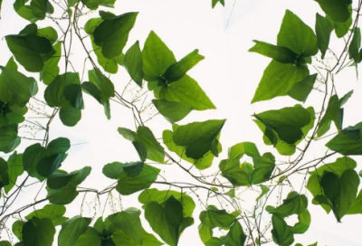 ​发风景的朋友圈句子(汇总97句)