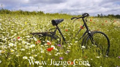 ​早上好朋友圈说说最能打动人心的早安问候(精选60句)