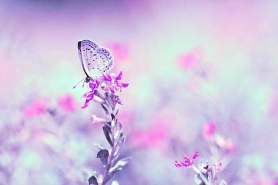 ​佛家那些激励人心的经典语录(书中激励人心的经典语录)