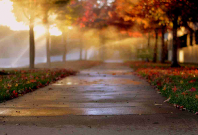 ​关于加班到深夜的说说