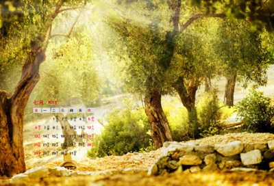 ​高情商说晚安的短句（精选推荐）