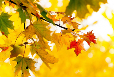 ​关于只想好好努力赚钱的说说