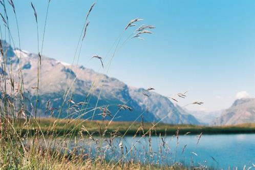 简短的结束语大全