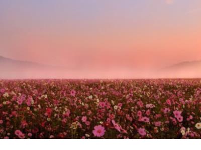 高情商的人发朋友圈