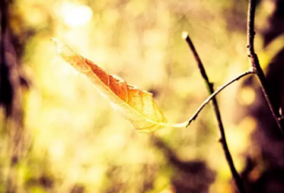 ​关于买房的经典说说 买房的经典语录