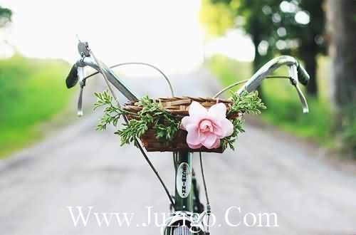 妙语佳句摘抄妙语佳句摘抄大全100字(精选60句)