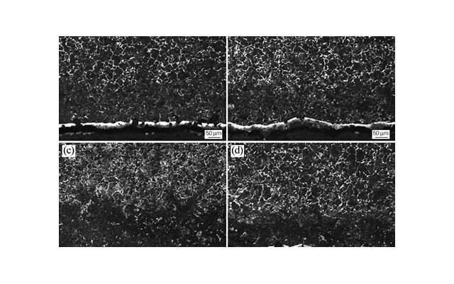 《谁说我结不了婚》:真爱你的人,会“卑微”