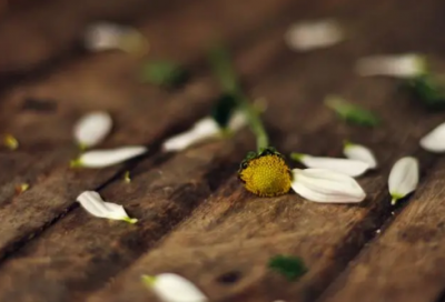 ​关于想念一个人的暖心说说—用高情商表达我想你