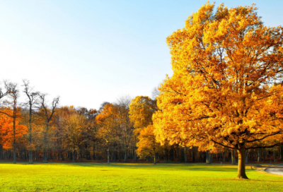 ​6月1日女生发朋友圈的句子(75句)