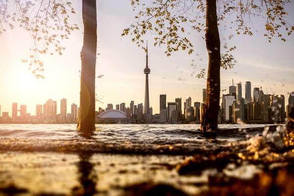 晚安心语简单一句话 深夜发朋友圈激励人语句