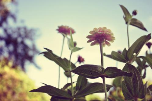 适合00后发说说的句子