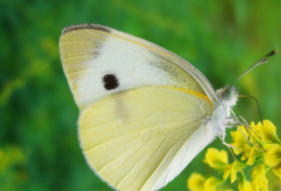 男生冷漠高傲长网名(109个)