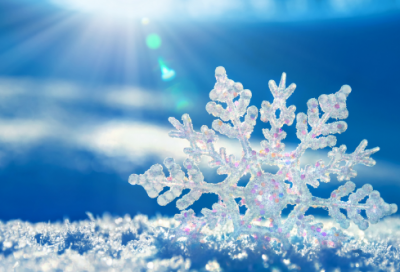 ​高冷帅气昵称一个字(优选541个)