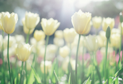 ​开始颓废男生网名(精选156个)