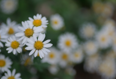 ​最炫最酷的女生网名(精选157个)