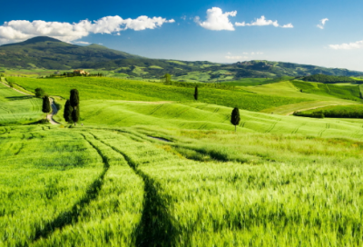 ​被伤透了心失望的名字qq名字