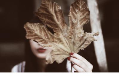 用对比句描写自然景物