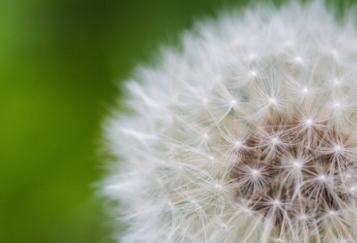 ​关于爱情的网名(优选92个)