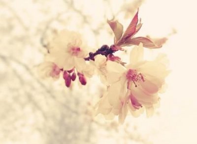 有意境的古风二字网名，唯美清新淡雅的2个字昵称