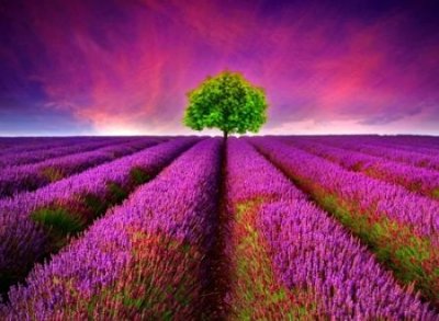 ​网名霸气，最新好听的霸气昵称