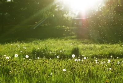 住院说说短语朋友圈(推荐40句)