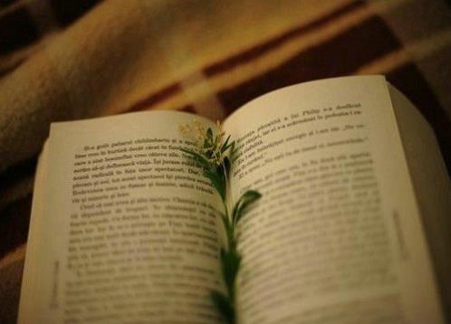 早安励志说说带图片