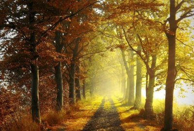 ​经典语录短句