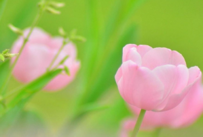 ​表示洒脱的简短朋友圈说说，适合做个性签名的