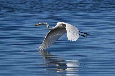 ​有深度有涵养的经典句子