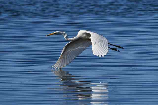 有深度有涵养的经典句子