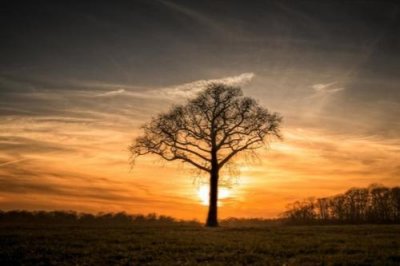 ​小红书文案最火的晚安句子(30句)