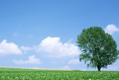 ​2022最新版超拽签名，充满自信霸气的个性句子