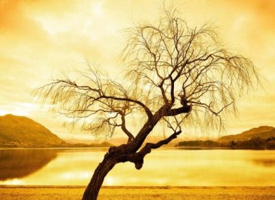 ​剪刀手爱德华经典台词