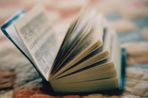 朋友圈晒媳妇的句子