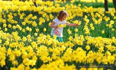 ​你像风来了又走的说说（我真的很喜欢你像风走了八千里）