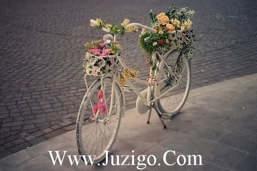 写有关天气的谚语62句